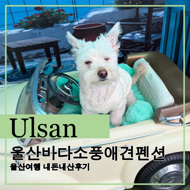 사진 6