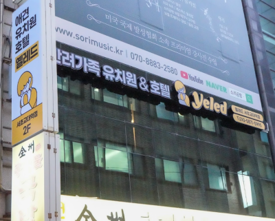 사진 10