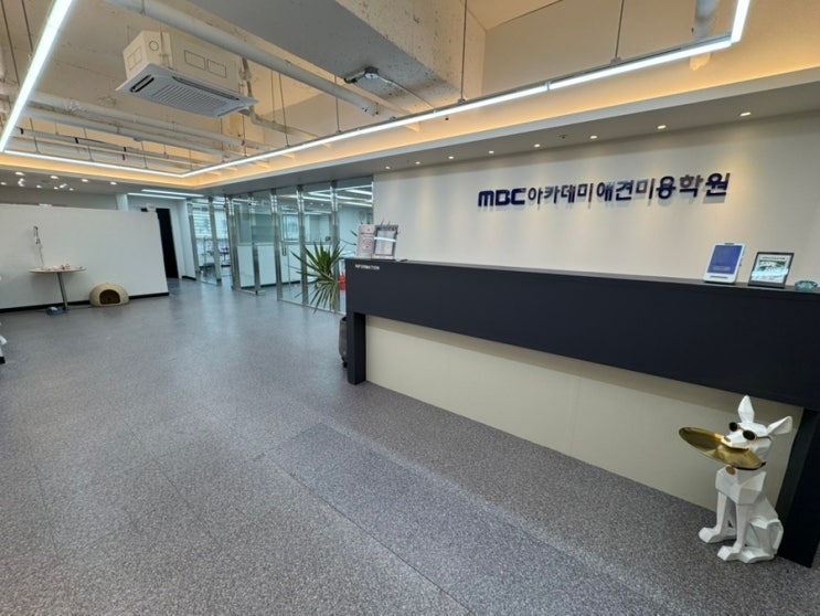  애견미용자격증 3급, 2급 취득 방법, 기간, 한국애견연맹 KKF