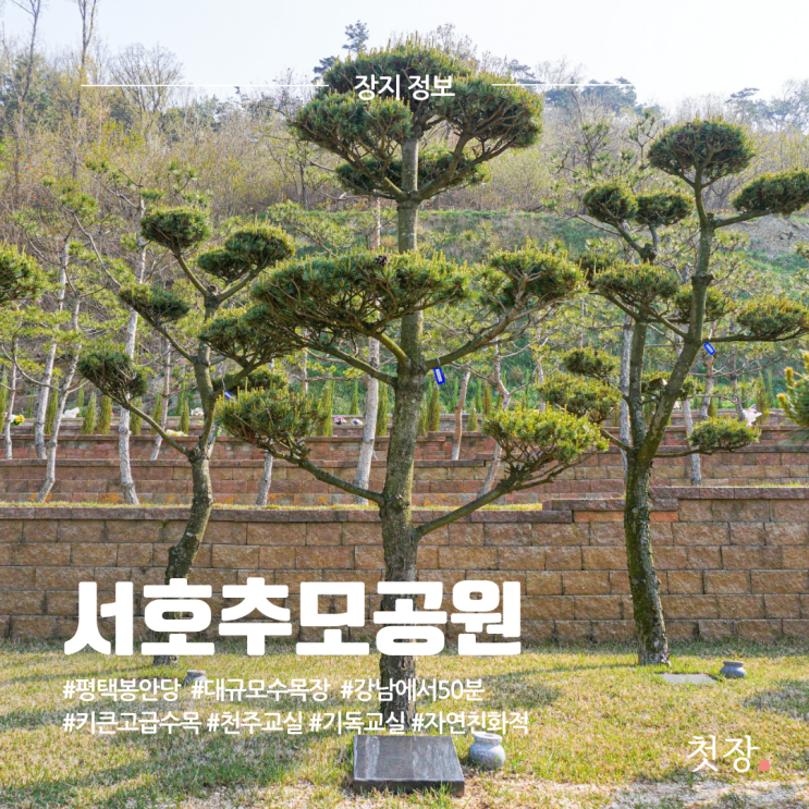  서호추모공원 평택봉안당(납골당), 수목장 가격, 위치, 시설 정보 안내 [첫장]