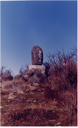Gogaegol photo 5