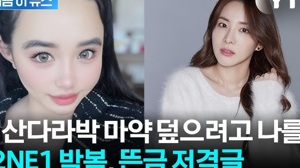  박봄 산다라박 실명 저격 논란과 ADD 고백, 희생양 주장의 본질