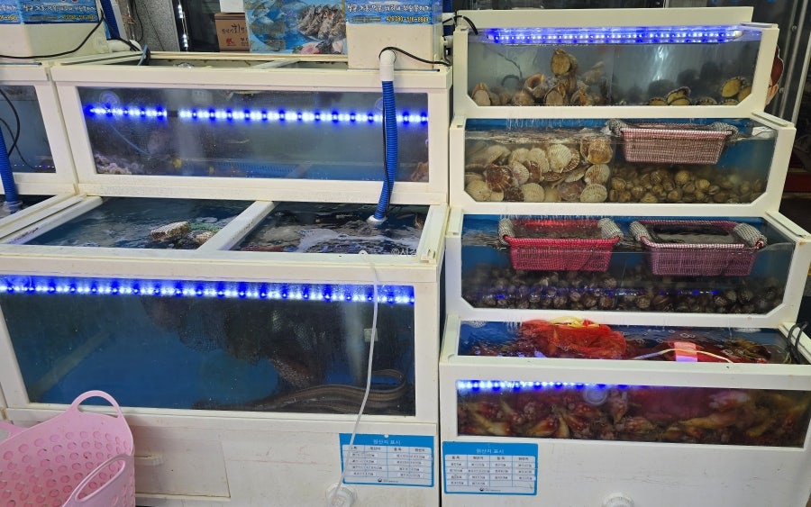 동해수산 사진 4