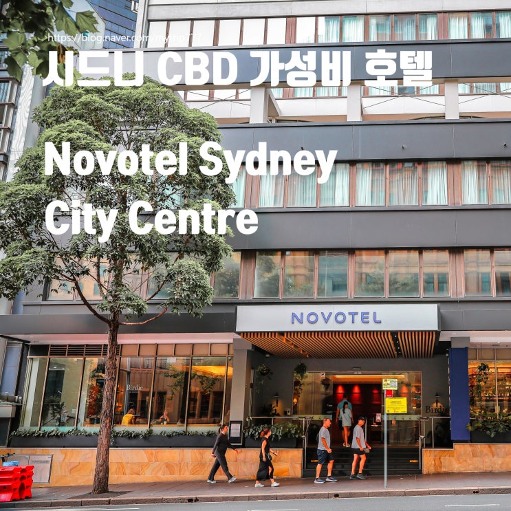  시드니 노보텔 시티센터 숙소 괜찮을까?｜Novotel Sydney City Centre 위치·가격·객실 정보 정리