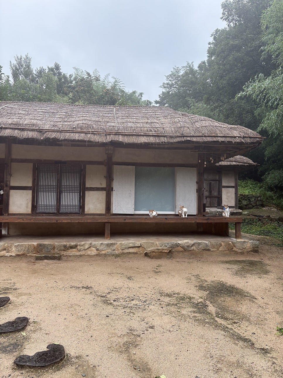 스테이쉼 사진 5