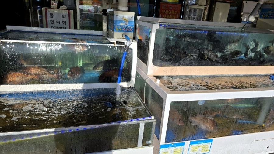 동해수산 사진 3