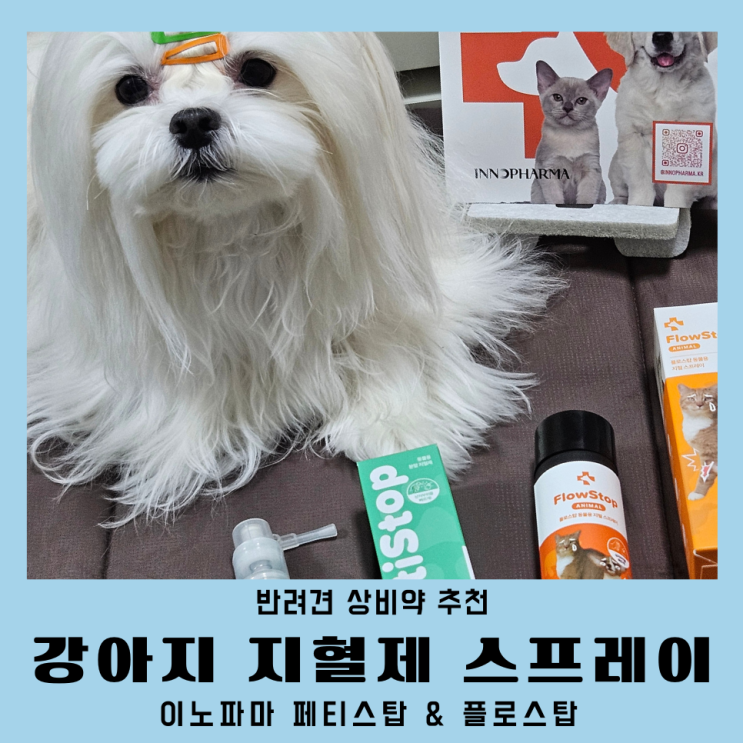  강아지 지혈제 스프레이 이노파마 반려동물상비약 추천