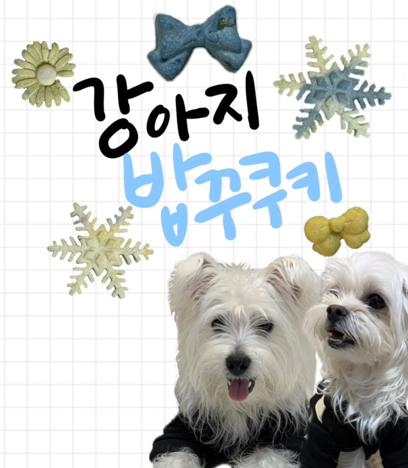 강아지 밥꾸 쿠키 만들기 (강아지 수제간식 만들기),고구마쿠키