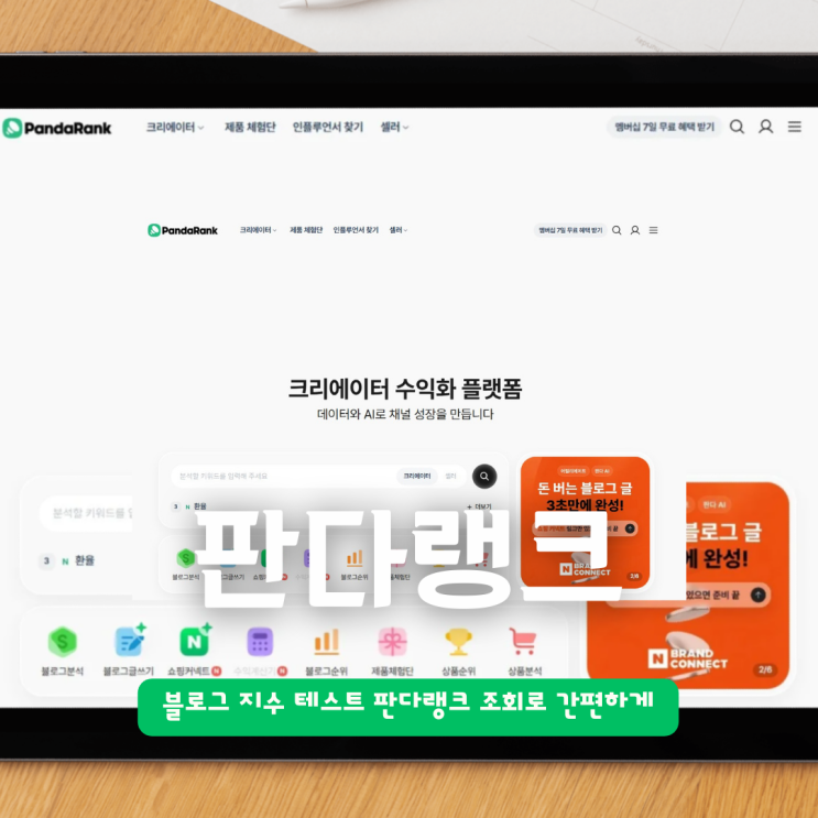  블로그 지수 테스트 판다랭크 조회로 간편하게