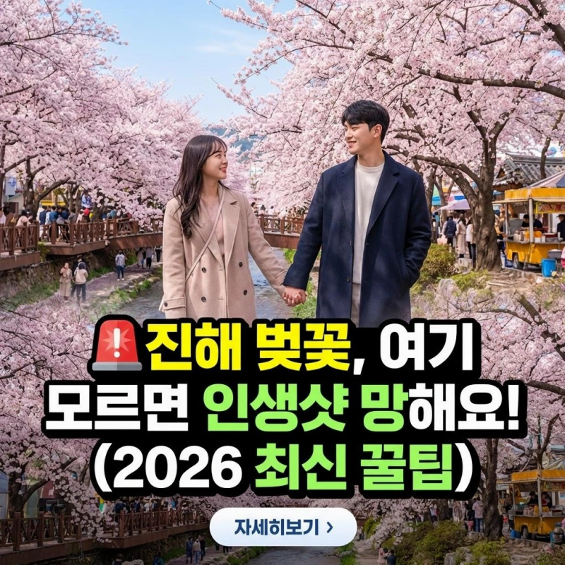 2026 진해 벚꽃 축제, 지금 안 가면 후회할 '이것' 공개! (현지인 꿀팁 대방출!)
