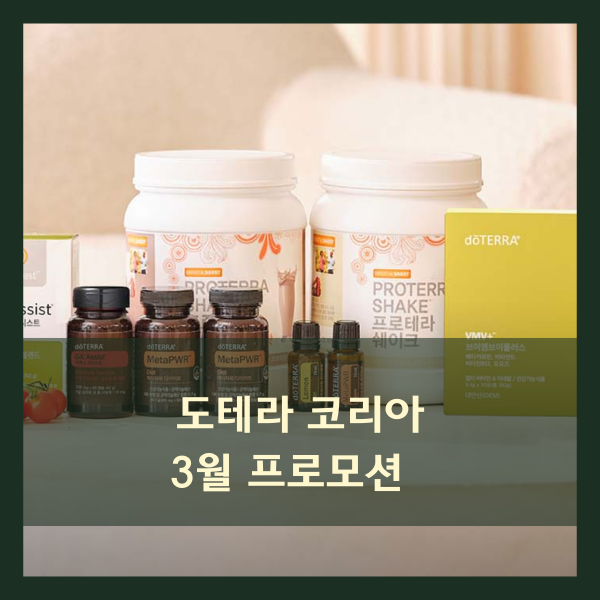  도테라 코리아 3월 프로모션 이것만 주목하세요