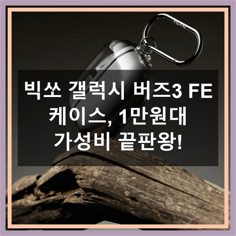 갤럭시 버즈3 FE 케이스, 이 가격에 이 퀄리티?
