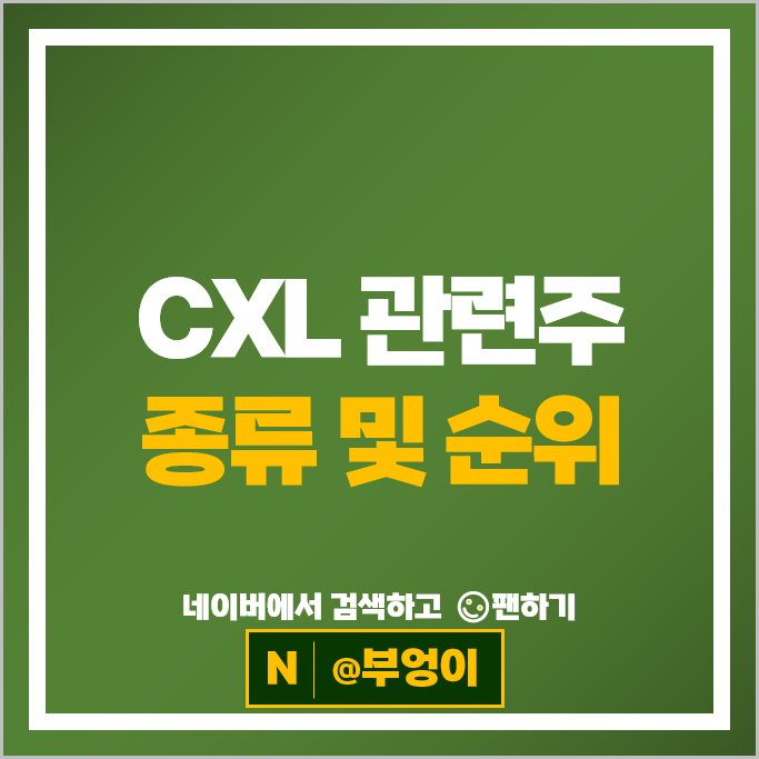 CXL 관련주 엑시콘 코리아써키트 삼성전자 SK하이닉스 주가