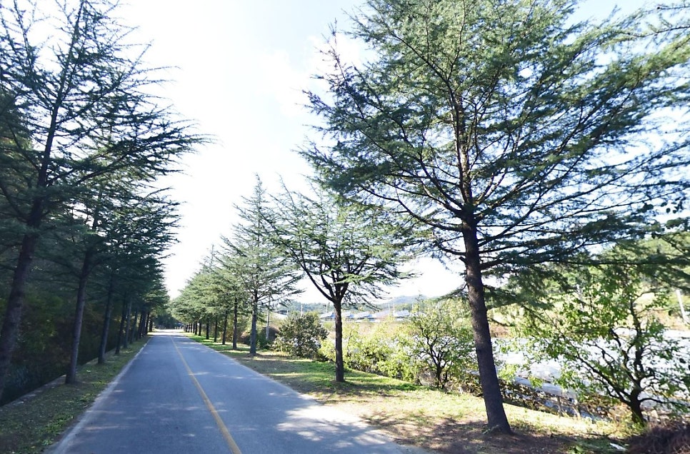풍락제 사진 3
