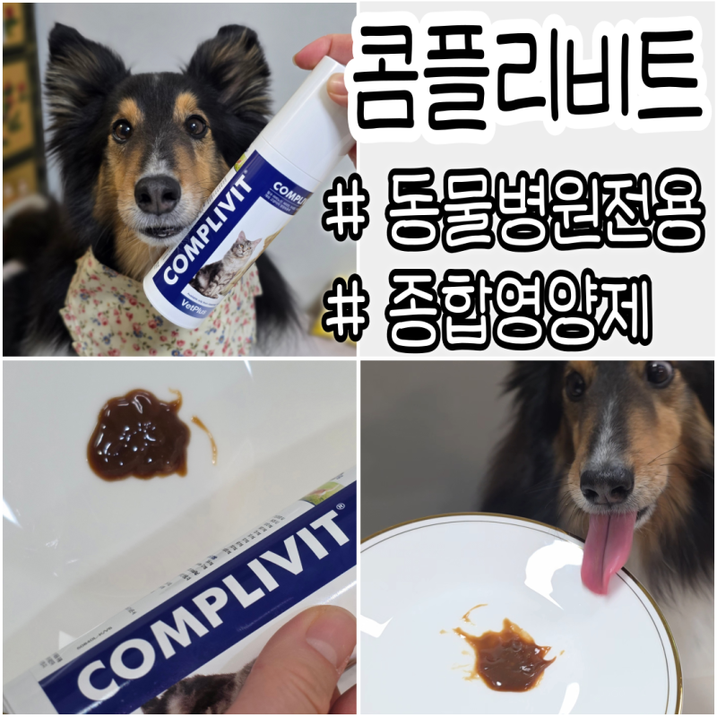 강아지종합영양제 벳플러스 콤플리비트 노령견 기력회복 꿀템