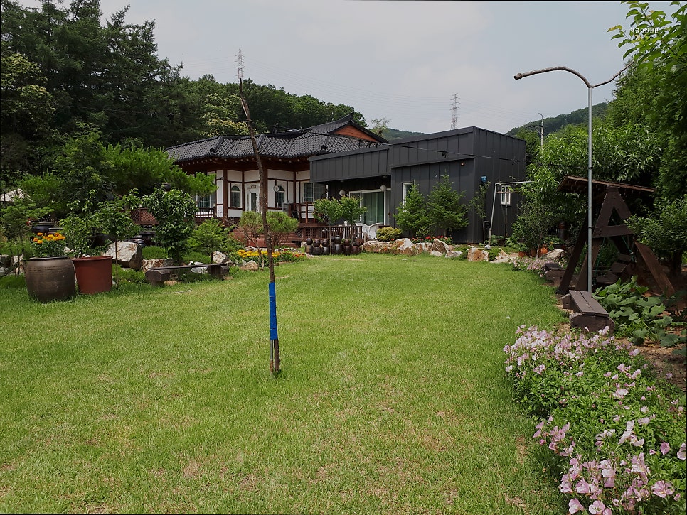 맹골모란펜션 사진 2