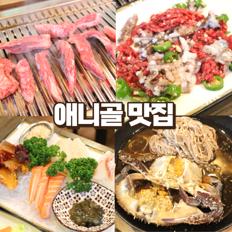  일산 한우 정육식당 추천 가족모임 으뜸가 애니골 맛집