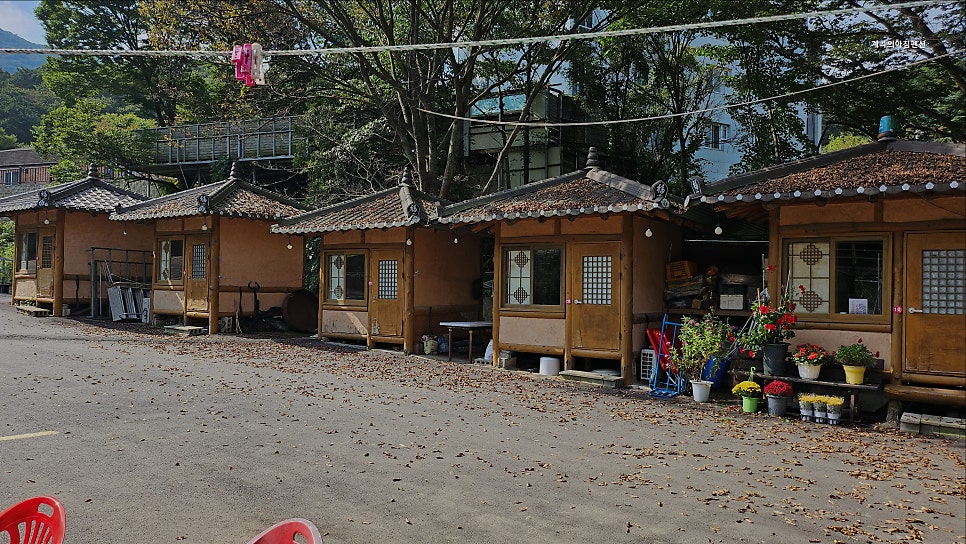 계곡의아침 사진 5