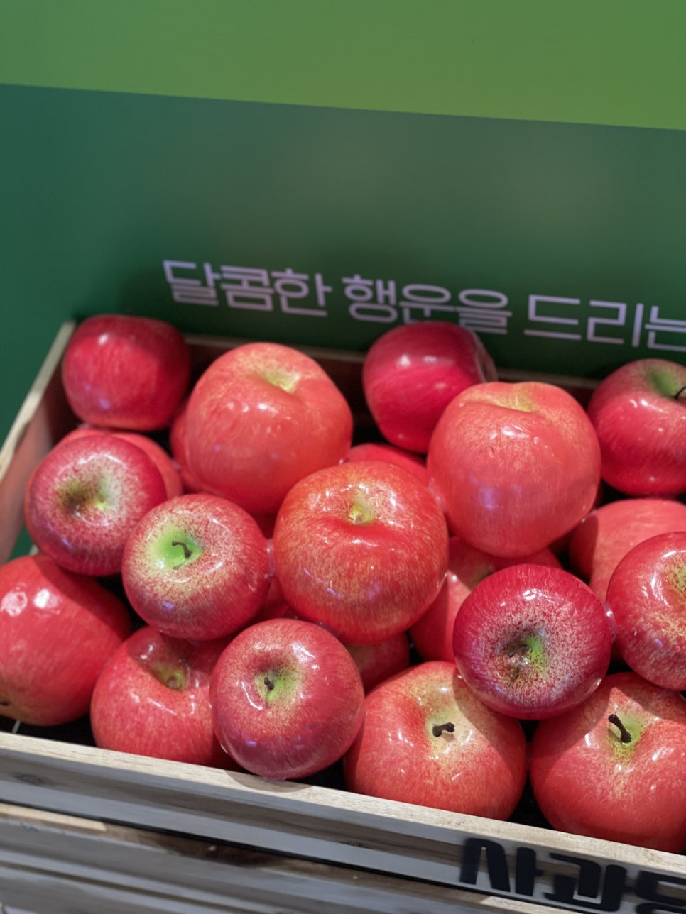 사과당 김포공항점 사진 6