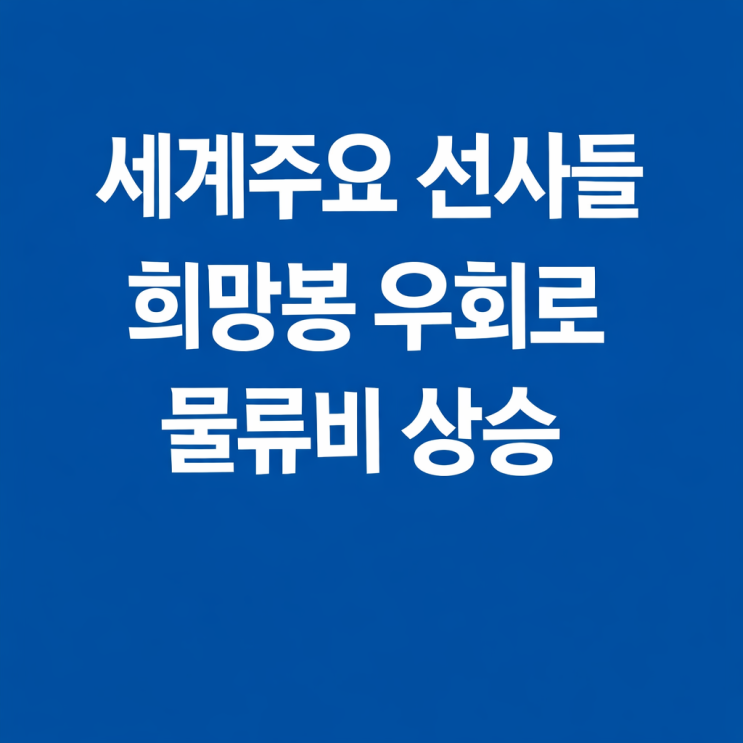  주요 선사들이 희망봉 우회로 물류비 상승 하고 있습니다.중동 공항 대안경로