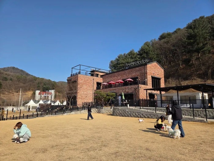사진 8