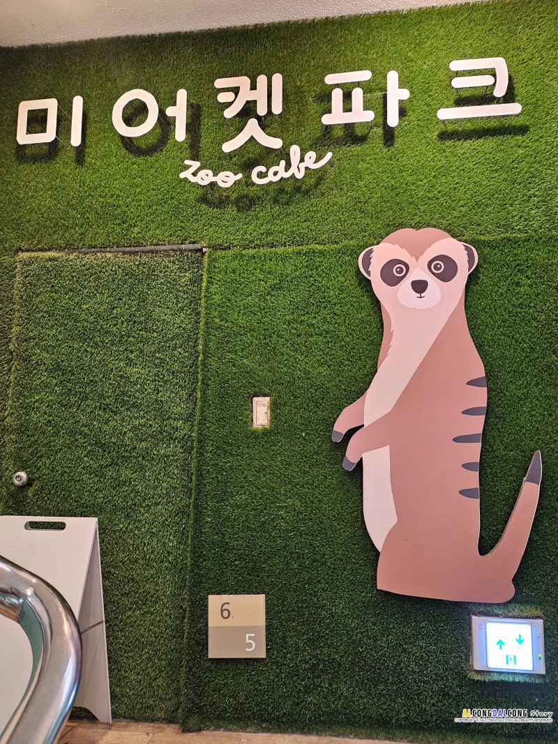 미어캣파크 이색 체험 동물 카페