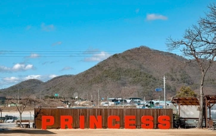 사진 7