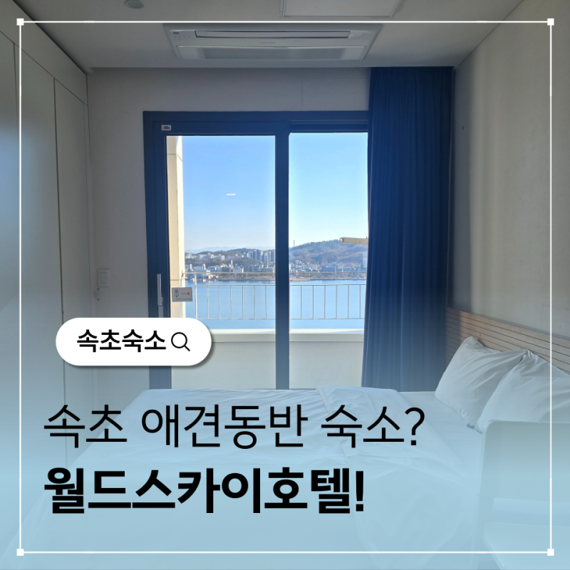 사진 5