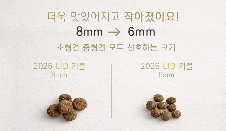  2026 강아지사료 추천 BEST 4  건강과 입맛 모두 잡는 선택!