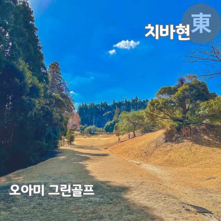  일본 골프장 예약방법 치바 오아미 그린골프 숏게임 후기