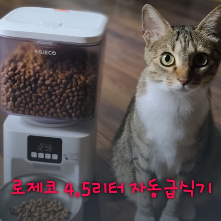 고양이 자동 급식기 로제코 4.5리터 급식기 버튼형 사용 후기