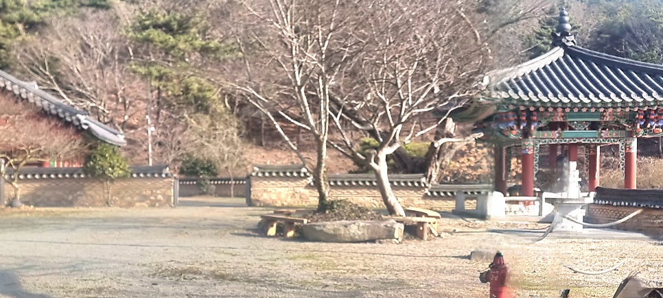 강산 사진 5