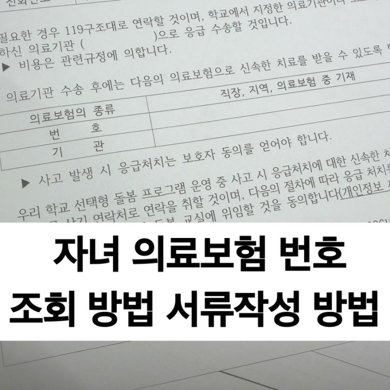 자녀 의료보험 번호 조회 방법 학교 유치원 어린이집 서류 작성 방법