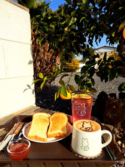 제주대정카페 카페 무운 귤밭뷰 힐링 공간 제주 구옥 감성