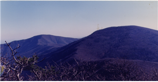 Gogaegol photo 3