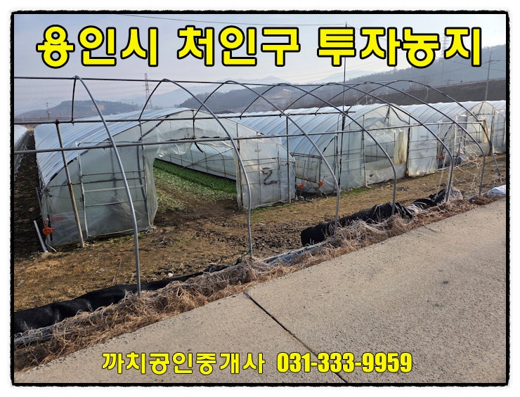  용인 처인구 모현읍 토지 매매 509평 생산녹지 체류형쉼터 주말농장 추천