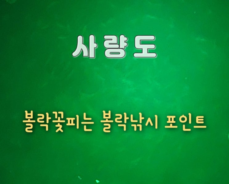  사량도 볼락포인트 볼락꽃이 피었습니다
