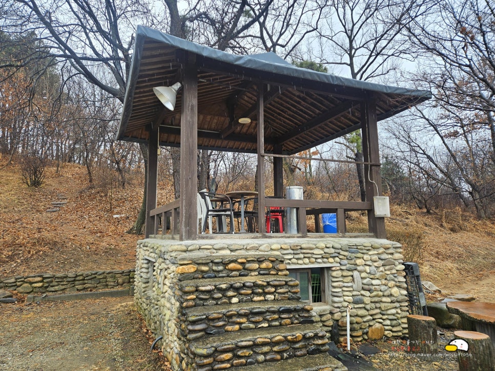 두향 사진 6