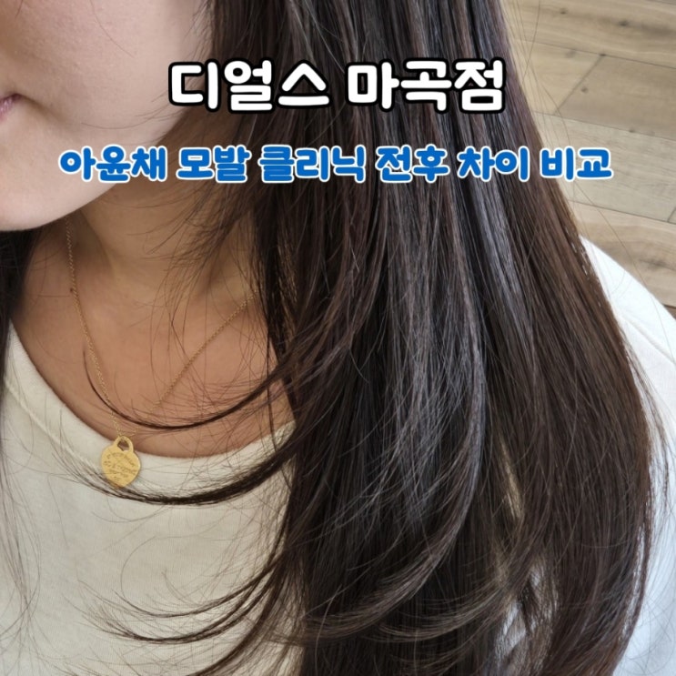  마곡 미용실 디얼스 마곡점 아윤채모발클리닉 전후 차이 비교 (나봄부점장님 후기)