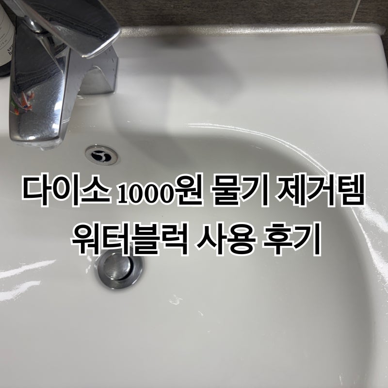 다이소 워터블럭 사용 후기 | 싱크대 물기 제거 PVA 스펀지