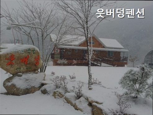 웃버덩펜션 사진 4
