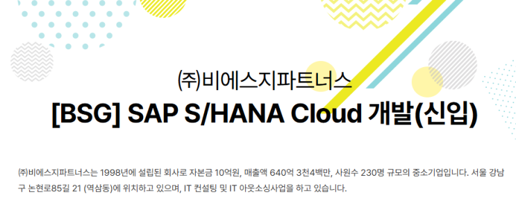  SAP 관련 공고 소개 - [ BSG파트너스 ](신입)