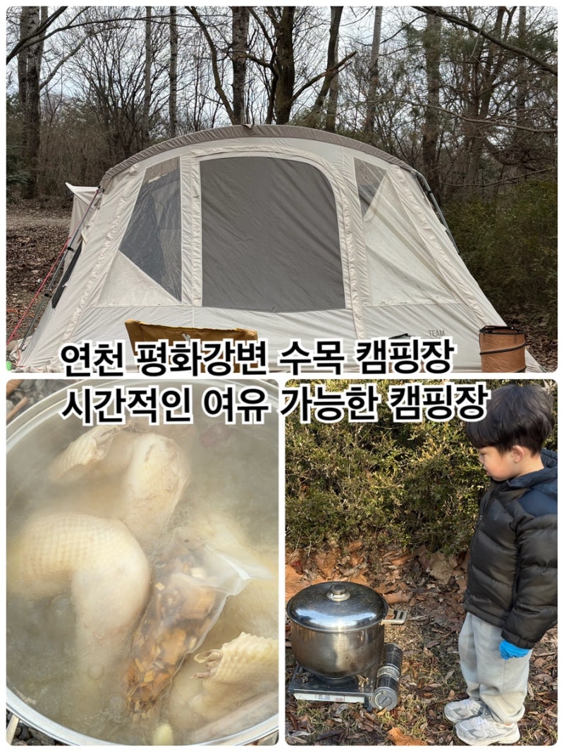 연천 연천평화강변 자연캠핑 서울근교캠핑장 평화강변 수목 캠핑장 솔직 후기