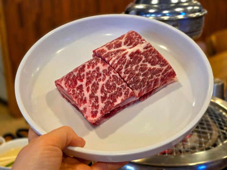  안산 한우 갈비 맛집 안산설화갈비 한대앞역 회식 장소 소고기 전문점