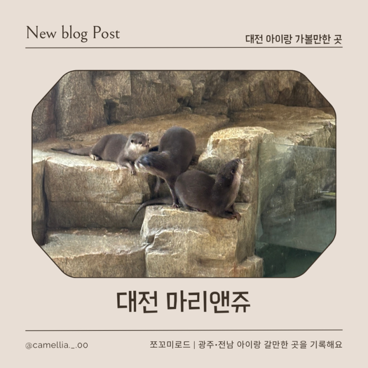  [내돈내산] 대전 실내 동물원 마리앤쥬 가격 이용방법 총정리 & 리얼 찐 솔직후기