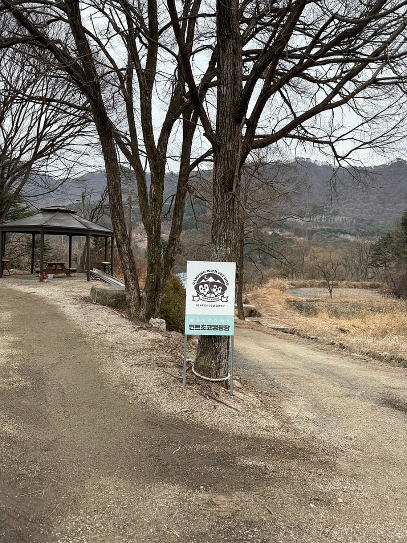 사진 7