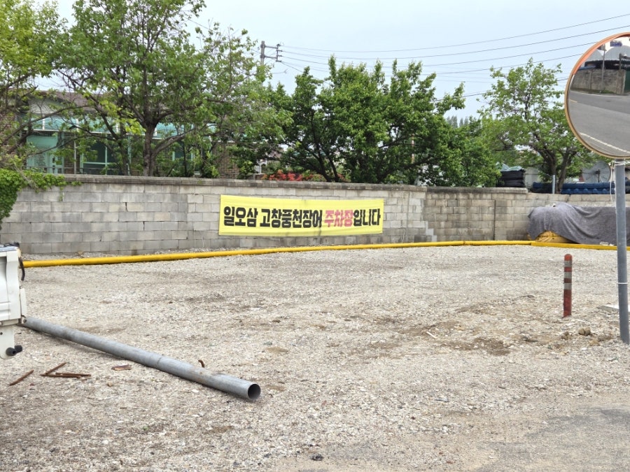 일오삼고창풍천장어 사진 3