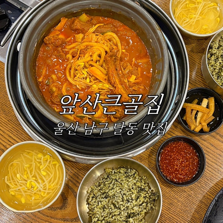  울산 남구 달동 맛집 앞산큰골집 등갈비찜 남구청 점심 단체 모임 장소 추천
