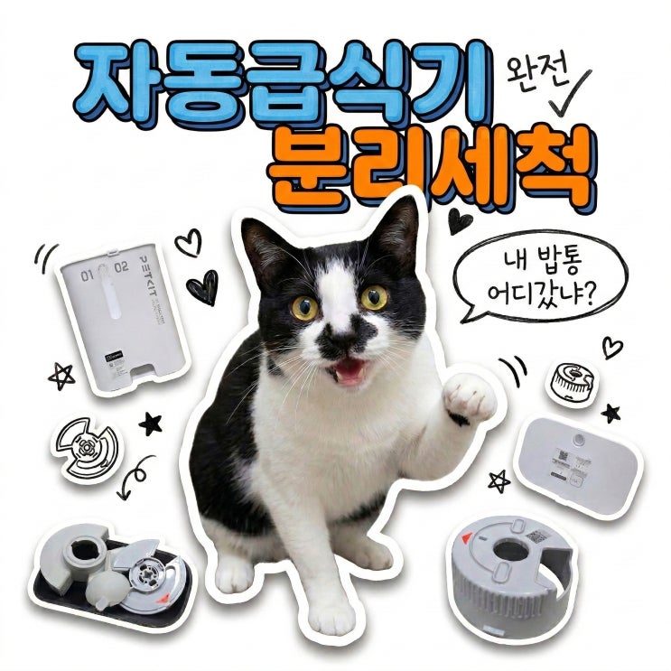  고양이 턱드름 원인은 사료통? 자동급식기 세척과 진공 쌀통 보관 꿀팁