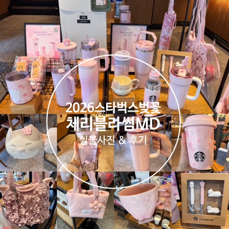  2026 스타벅스 체리블라썸 MD 벚꽃MD 실물사진 및 후기